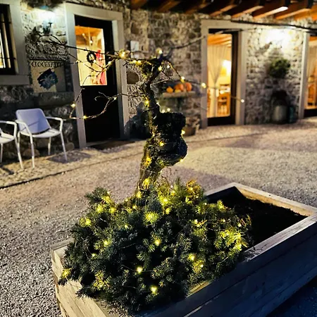 مزرعة للإقامة Clochiatti