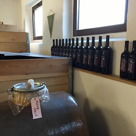 مزرعة للإقامة Clochiatti Povoletto