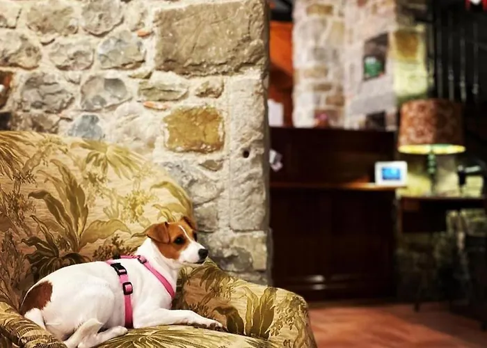 Κατάλυμα σε φάρμα Clochiatti *